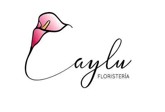 logo-caylu
